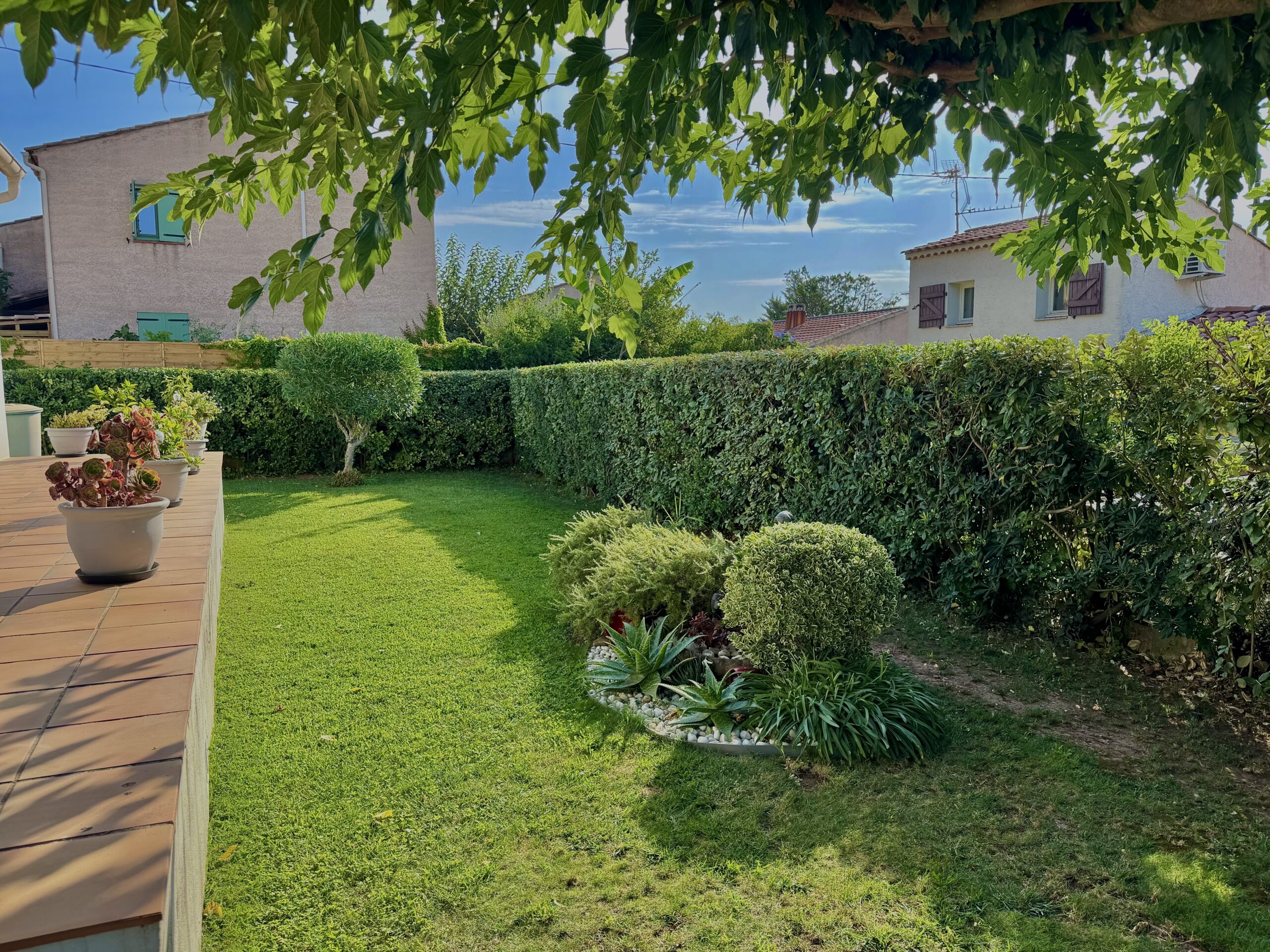 https://greenhorizon-jardinier.fr/wp-content/uploads/2025/09/IMG_5960-scaled.jpg